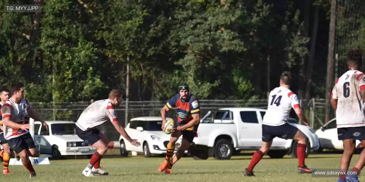 🎯 专业装备，助力你突破极限，成就传奇！🎮